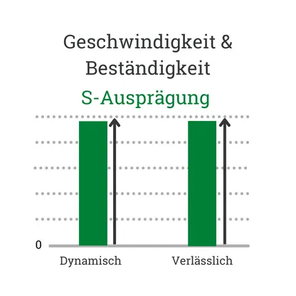 DISG Grün Stetigkeit Geschwindigkeit und Beständigkeit