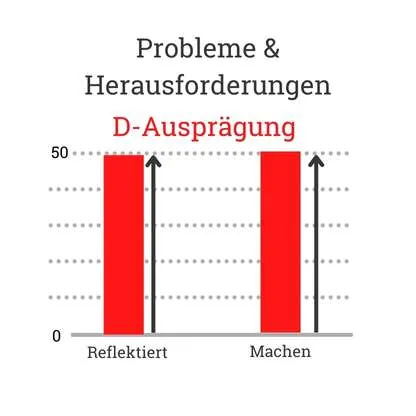 Rot DISG Probleme und Herausforderungen Dominanz