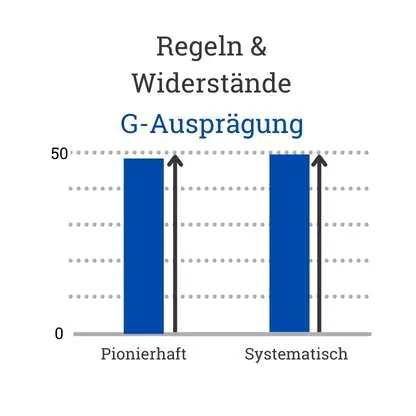 DISG blau Gewissenhaftigkeit Regeln und Widerstände